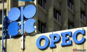 Цена нефтяной “корзины” ОПЕК упала на 2,38 долл. – до 101,40 долл./барр