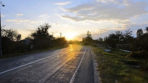 На Львовщине автобус со школьниками врезался в дерево