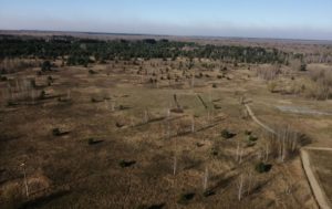 Обнародовано видео последствий пожаров в Украине