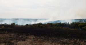 Разрушительные пожары в Луганской области добрались до еще одного района: огонь уже перекинулся на дома