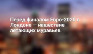 Перед финалом Евро-2020 в Лондоне – нашествие летающих муравьев