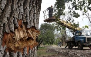 Укренерго заявило про відключення у семи областях