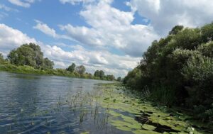 Названо причину забруднення річки Сейм